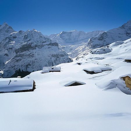 Apartment Chalet Baergsunna-2 By Interhome Grindelwald Bagian luar foto