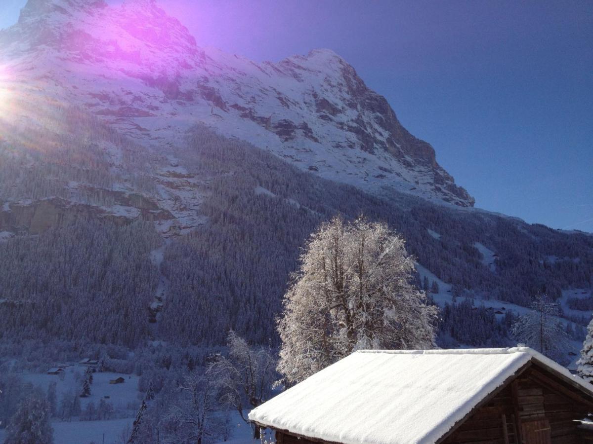 Apartment Chalet Baergsunna-2 By Interhome Grindelwald Bagian luar foto