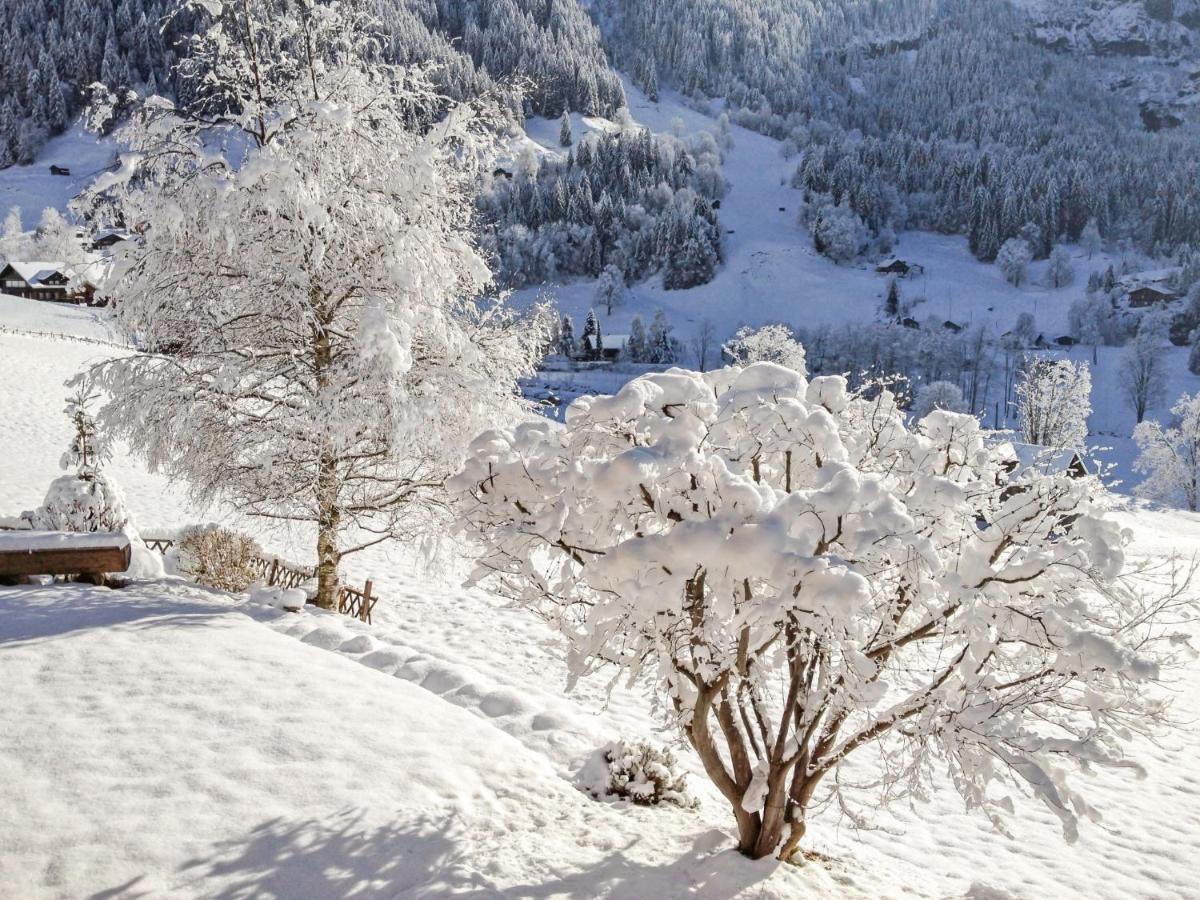 Apartment Chalet Baergsunna-2 By Interhome Grindelwald Bagian luar foto
